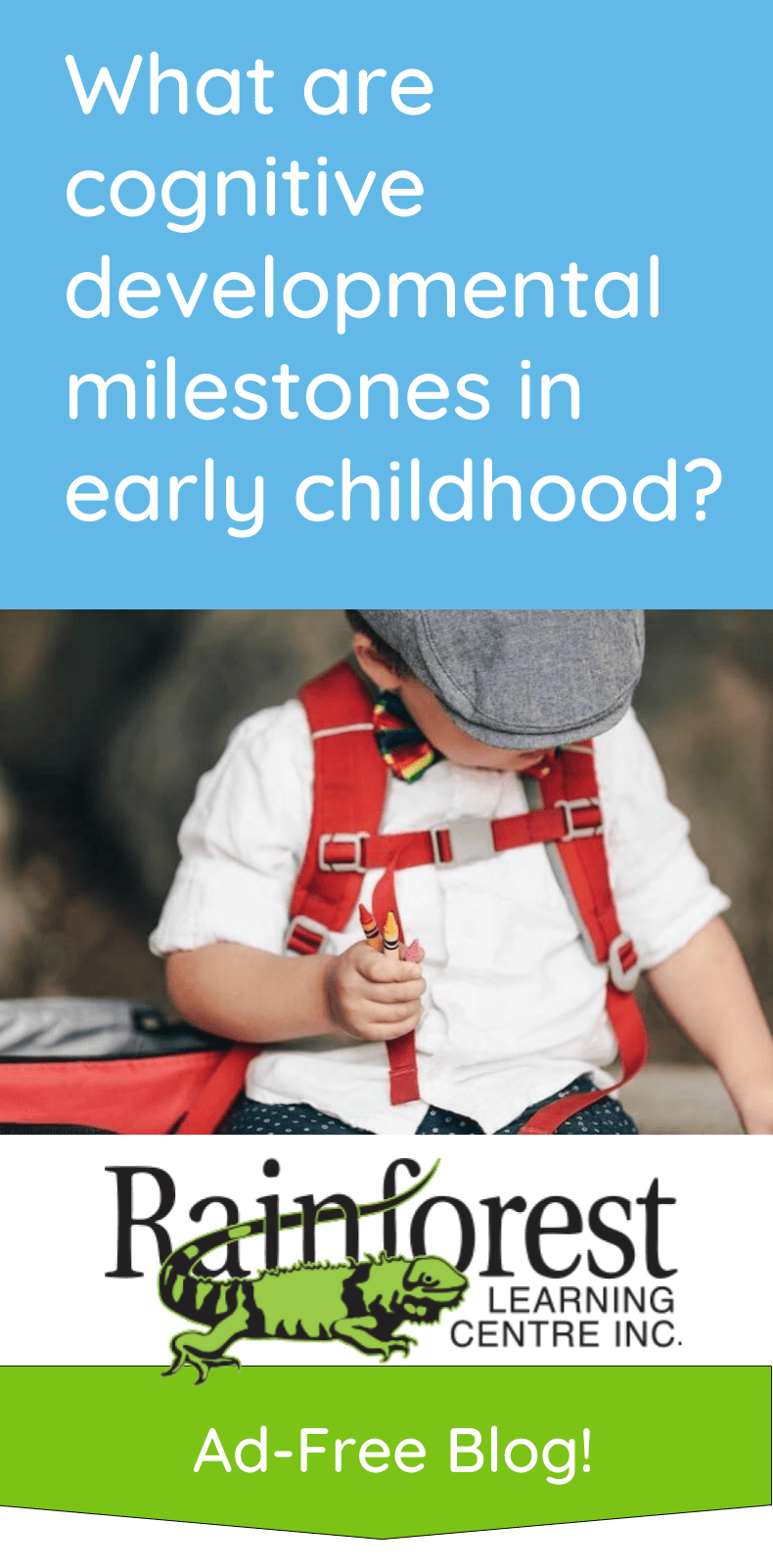 Cognitive developmental milestones in early childhood - article pinterest image