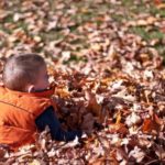 child in pile of leaves - image for article on informal learning in early childhood preschool years
