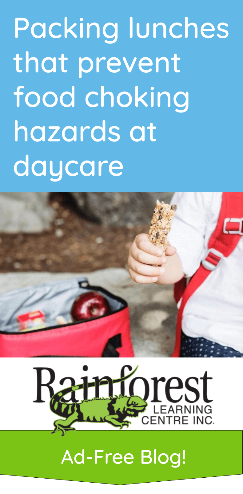 Packing lunches that prevent food choking hazards at daycare - article pinterest image