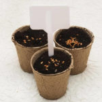 Seed starting pots with blank label as example for preschool gardening project