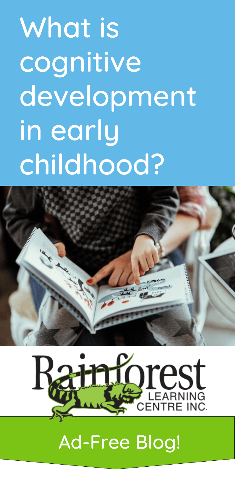 Examples of cognitive development in early childhood hot sale