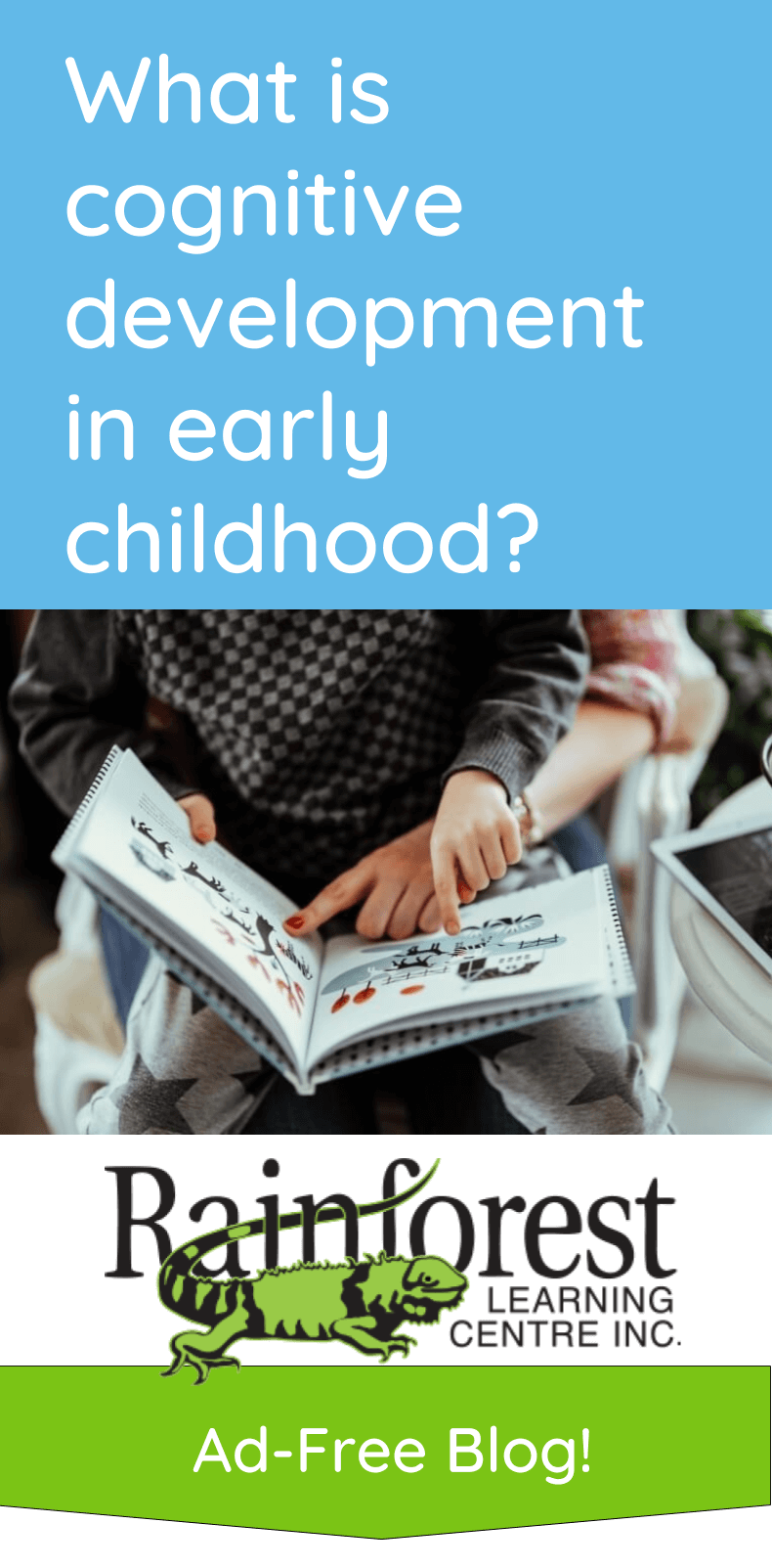 What Is Cognitive Development In Early Childhood Rainforest Learning 